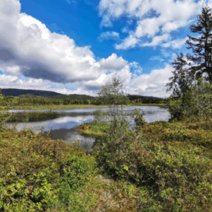 수원 휴게텔 찾는 방법과 안전하게 이용하는 법 - 수원 휴게텔 안전하게 이용하는 완벽 가이드와 찾는 팁