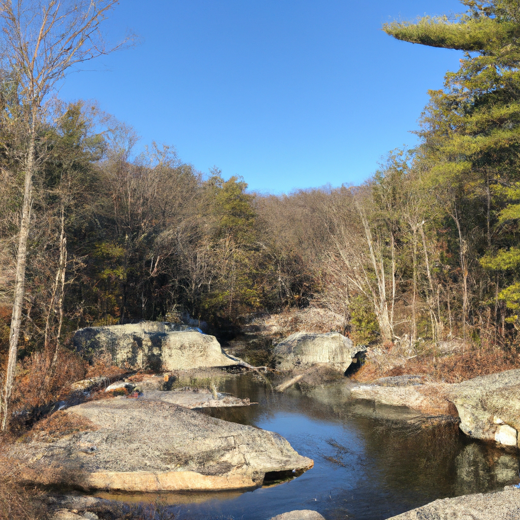 부산을 진정으로 즐기기 위한 필수 코스, 부산달리기 부달사이트의 모든 장점 알아보기 부산을 진정하게 즐기려면 부산달리기 부달사이트를 찾아야하는 이유 - 부산을 진정으로 즐기기 위한 필수 코스, 부산달리기 부달사이트의 모든 장점 알아보기